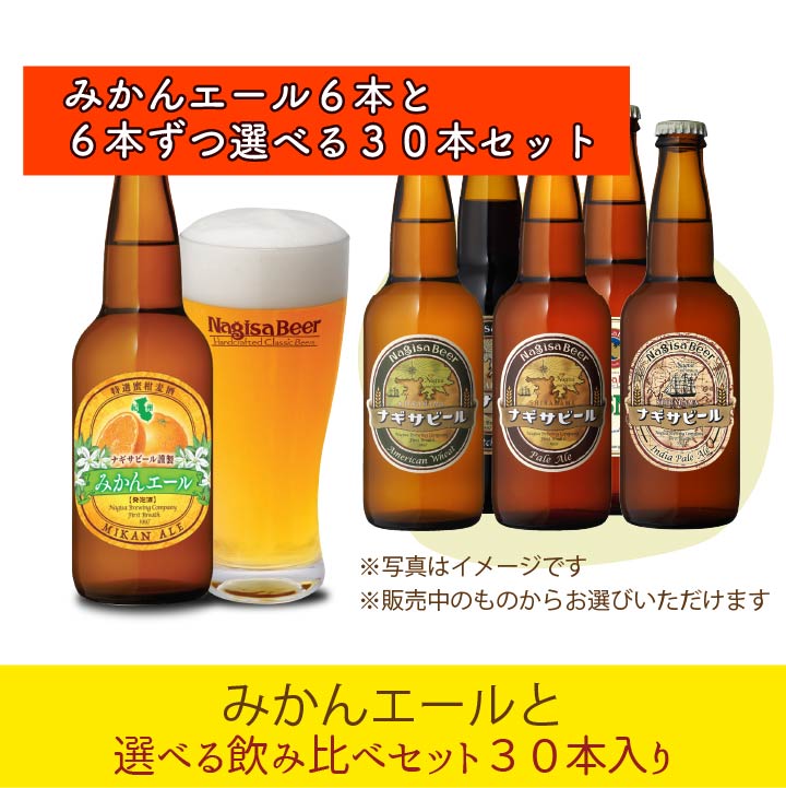 ドリームビア　長浜エール・秩父麦酒・ゴールデンエール・フルーツエール4本セット 000000001164-01-xl.jpg?t=