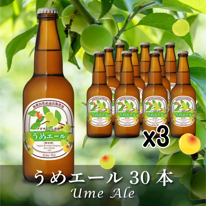 うめエール（Ume Ale）30本セット