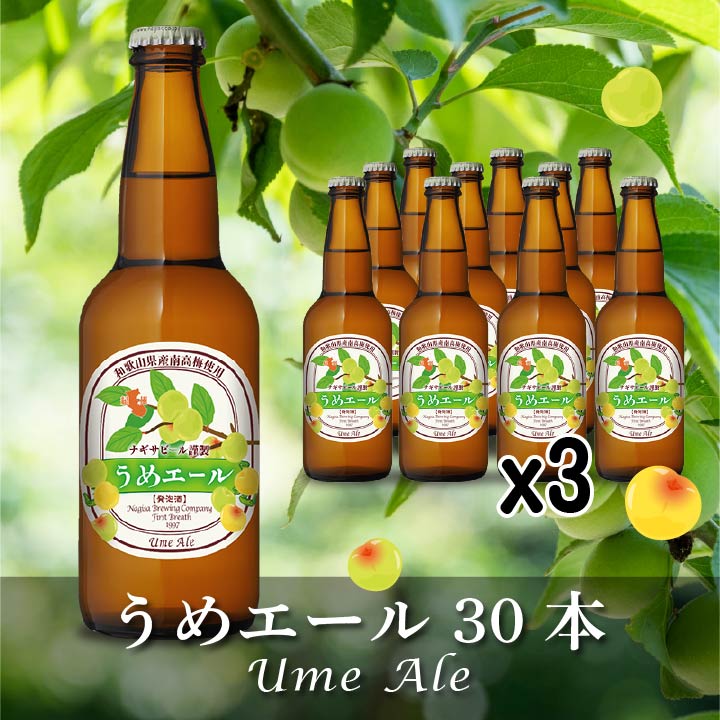 うめエール（Ume Ale）30本セット